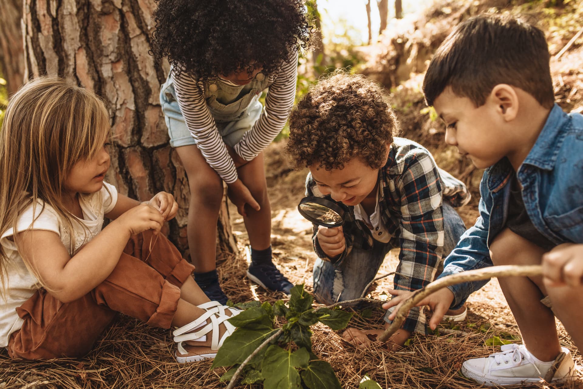 Child exploring plants and natural sensory materials