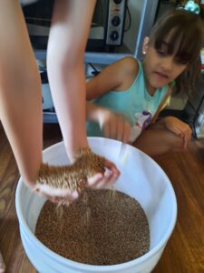 Sensory Play Grain Bucket